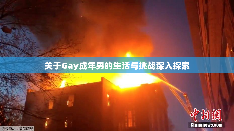 关于Gay成年男的生活与挑战深入探索