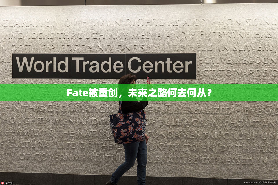 Fate被重创，未来之路何去何从？