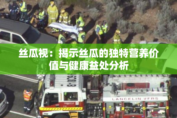 丝瓜视：揭示丝瓜的独特营养价值与健康益处分析