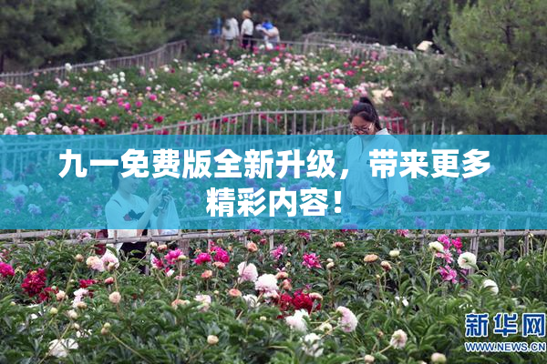 九一免费版全新升级，带来更多精彩内容！