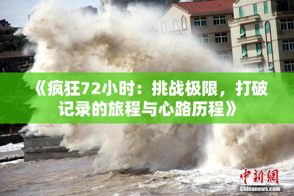 《疯狂72小时：挑战极限，打破记录的旅程与心路历程》