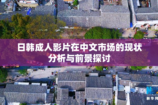 日韩成人影片在中文市场的现状分析与前景探讨