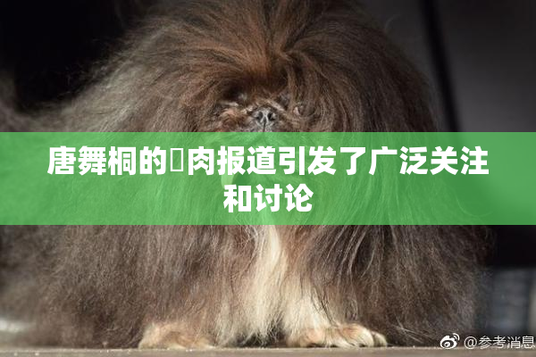 唐舞桐的婬肉报道引发了广泛关注和讨论