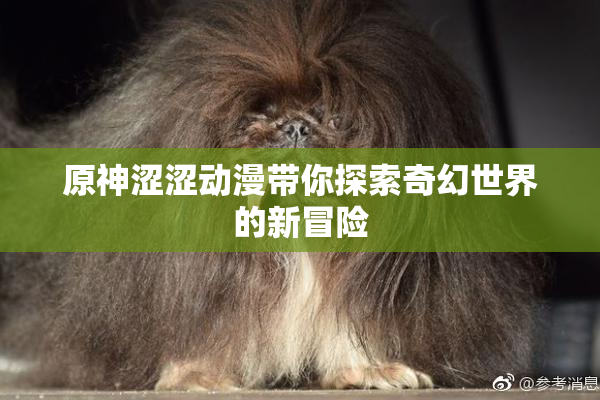 原神涩涩动漫带你探索奇幻世界的新冒险