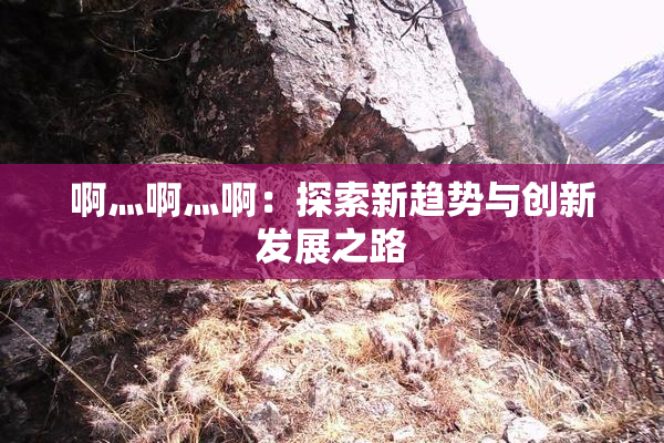 啊灬啊灬啊：探索新趋势与创新发展之路