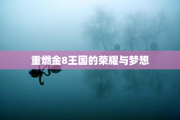 重燃金8王国的荣耀与梦想