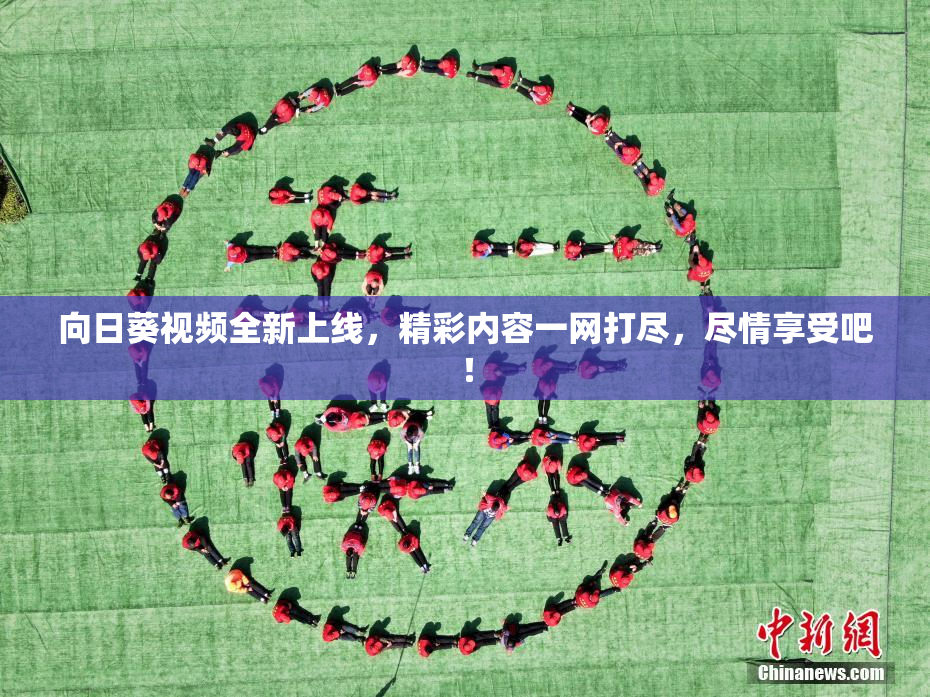 向日葵视频全新上线，精彩内容一网打尽，尽情享受吧！