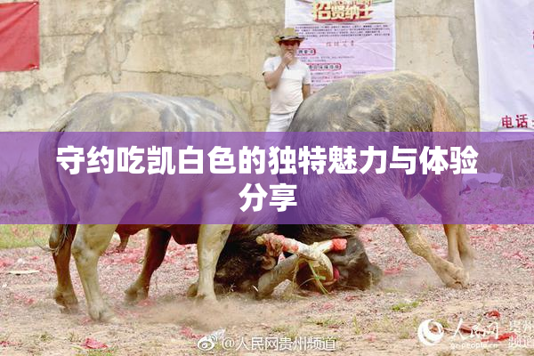 守约吃凯白色的独特魅力与体验分享