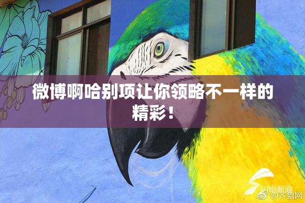 微博啊哈别项让你领略不一样的精彩！