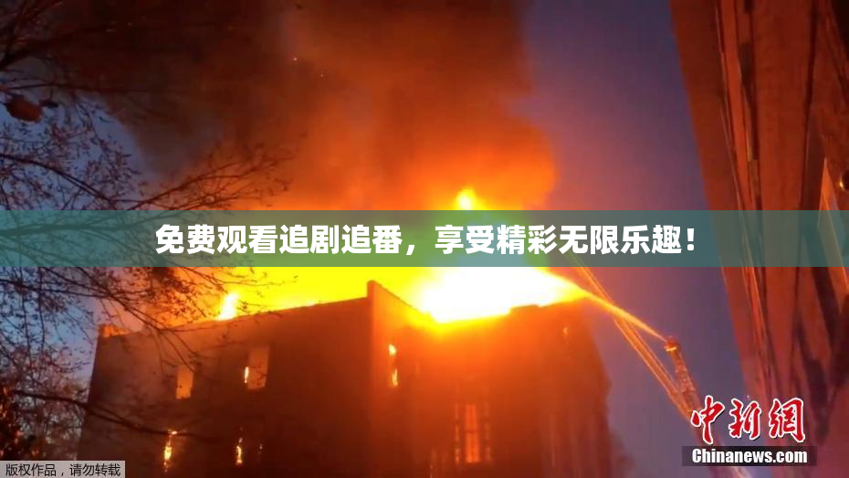 免费观看追剧追番，享受精彩无限乐趣！