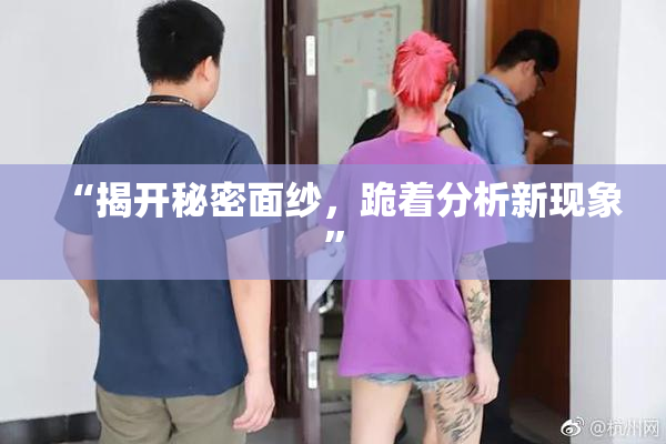 “揭开秘密面纱，跪着分析新现象”