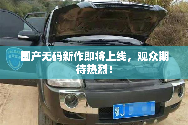 国产无码新作即将上线，观众期待热烈！
