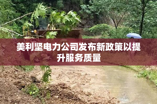 美利坚电力公司发布新政策以提升服务质量