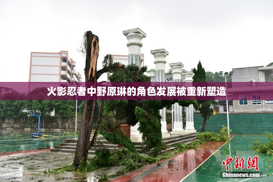 火影忍者中野原琳的角色发展被重新塑造