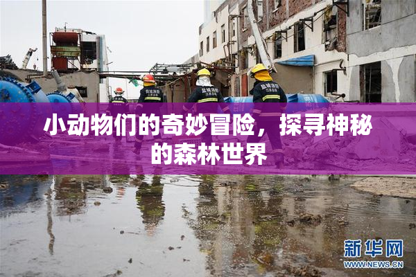 小动物们的奇妙冒险，探寻神秘的森林世界