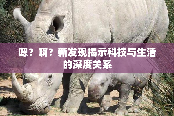 嗯？啊？新发现揭示科技与生活的深度关系