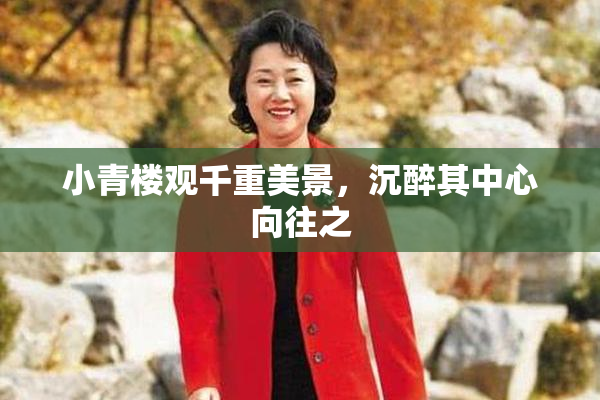 小青楼观千重美景，沉醉其中心向往之
