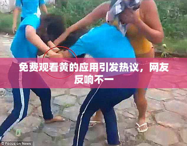 免费观看黄的应用引发热议，网友反响不一