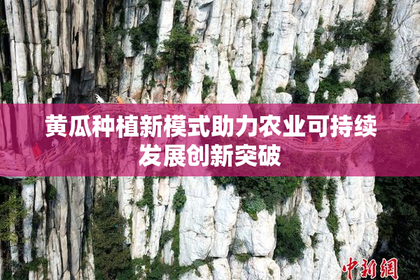 黄瓜种植新模式助力农业可持续发展创新突破