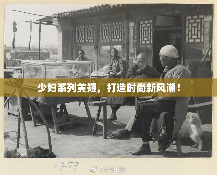 少妇系列黄短，打造时尚新风潮！