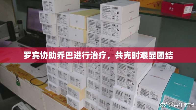 罗宾协助乔巴进行治疗，共克时艰显团结