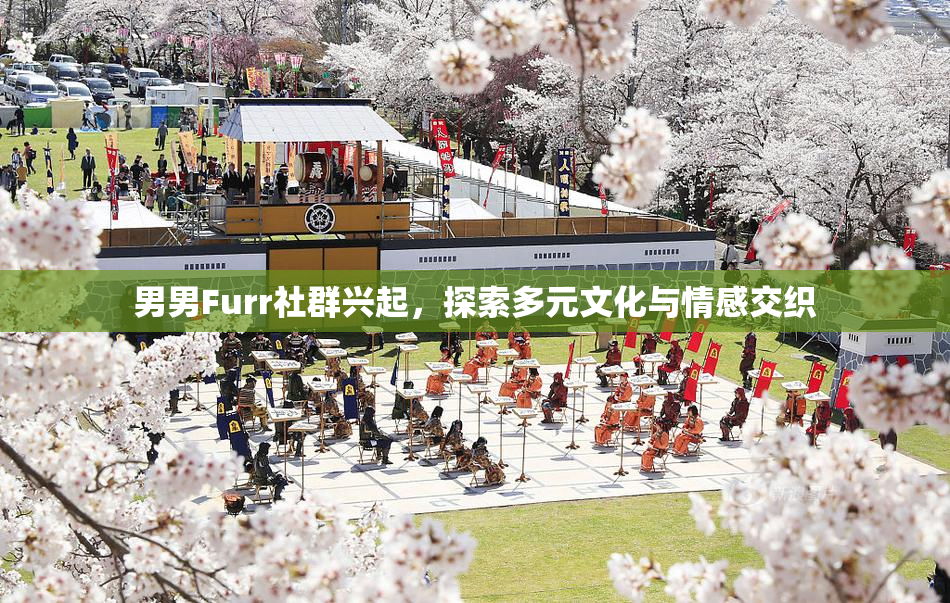男男Furr社群兴起，探索多元文化与情感交织