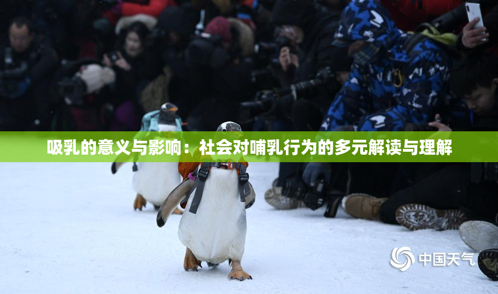 吸乳的意义与影响：社会对哺乳行为的多元解读与理解