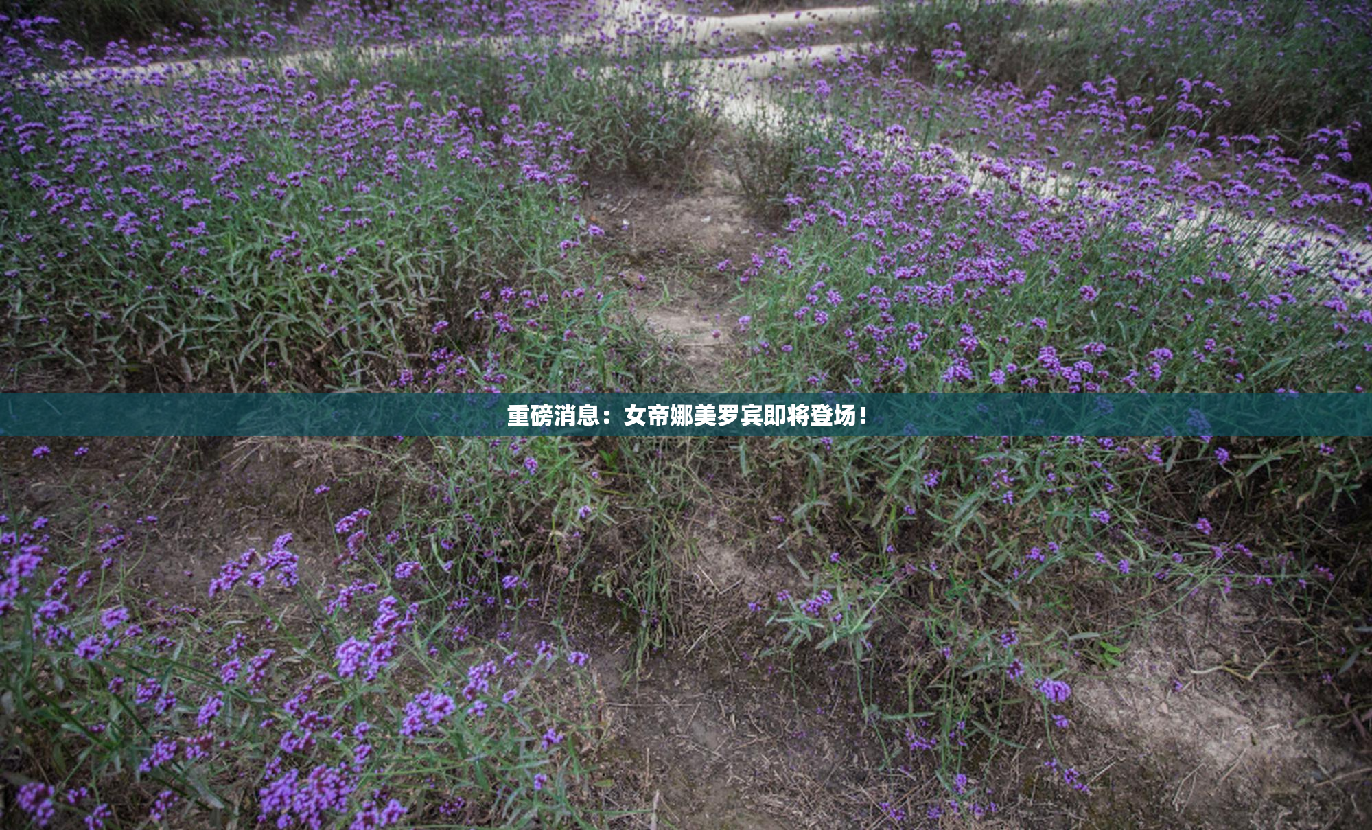 重磅消息：女帝娜美罗宾即将登场！