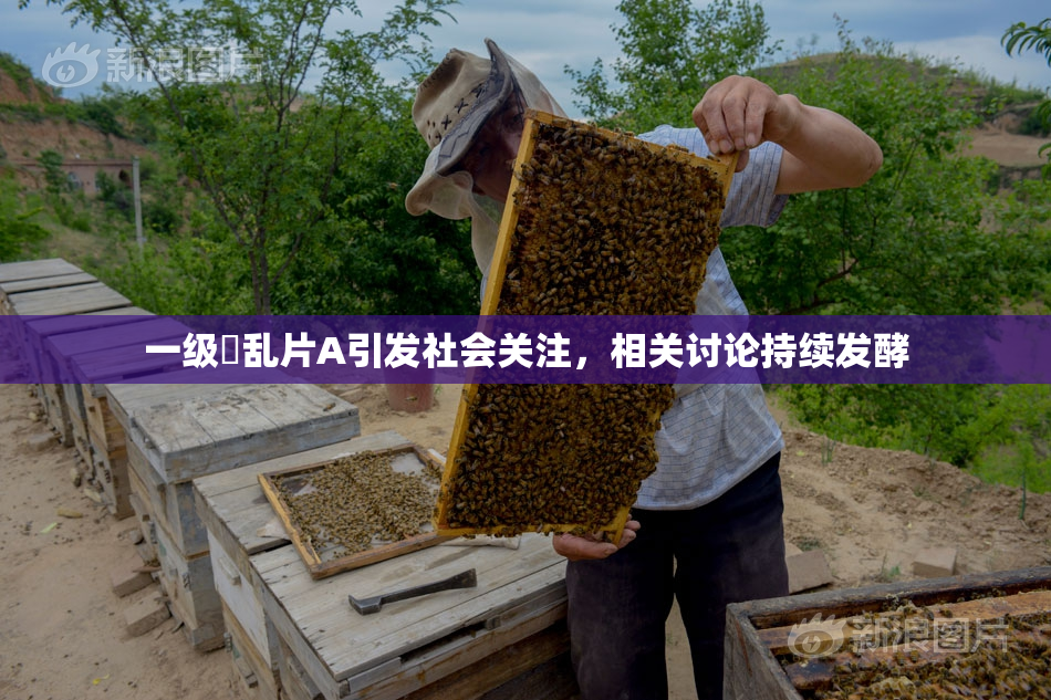 一级婬乱片A引发社会关注，相关讨论持续发酵