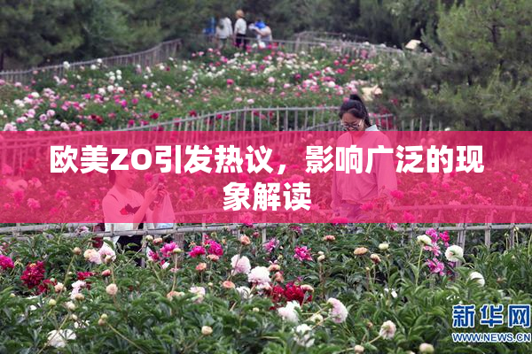 欧美ZO引发热议，影响广泛的现象解读