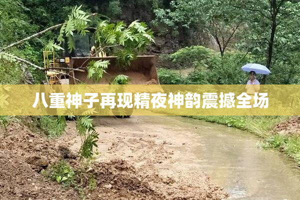八重神子再现精夜神韵震撼全场