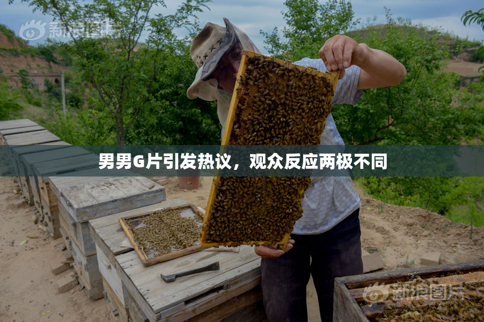 男男G片引发热议，观众反应两极不同