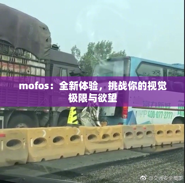 mofos：全新体验，挑战你的视觉极限与欲望