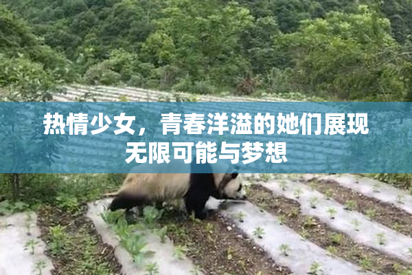 热情少女，青春洋溢的她们展现无限可能与梦想