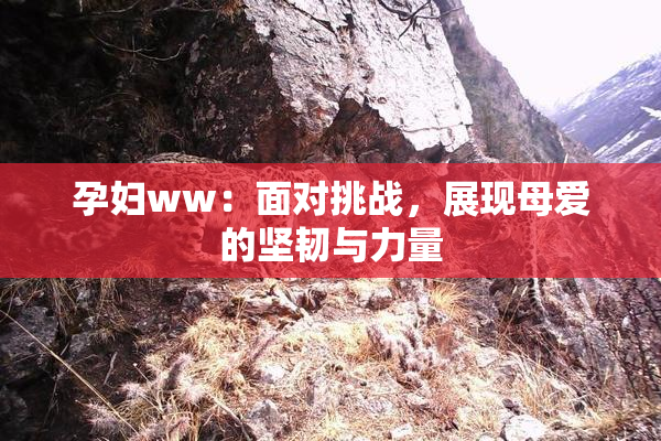 孕妇ww：面对挑战，展现母爱的坚韧与力量