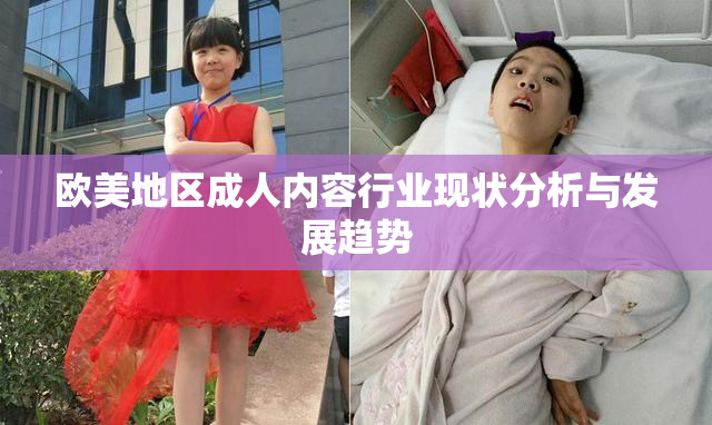 欧美地区成人内容行业现状分析与发展趋势