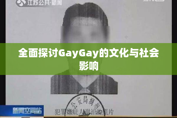 全面探讨GayGay的文化与社会影响