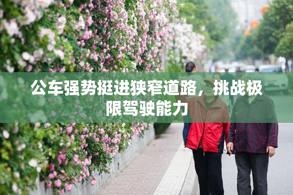 公车强势挺进狭窄道路，挑战极限驾驶能力