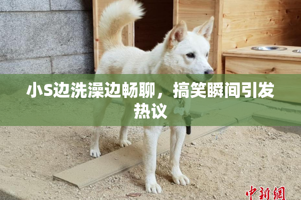 小S边洗澡边畅聊，搞笑瞬间引发热议
