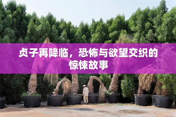 贞子再降临，恐怖与欲望交织的惊悚故事