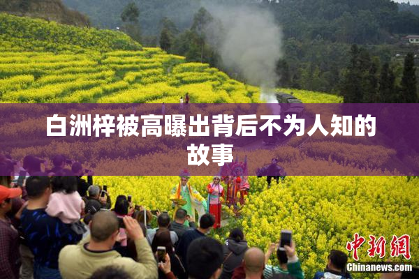 白洲梓被高曝出背后不为人知的故事