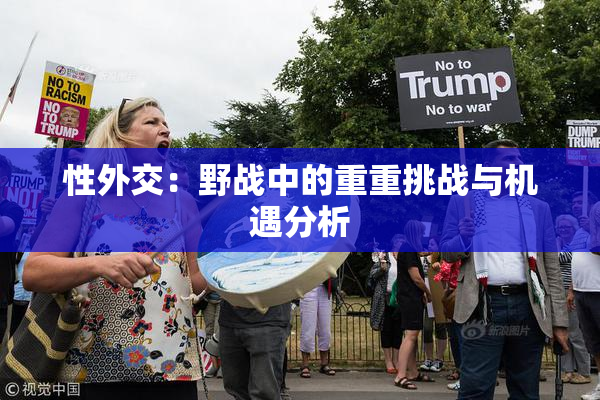 性外交：野战中的重重挑战与机遇分析