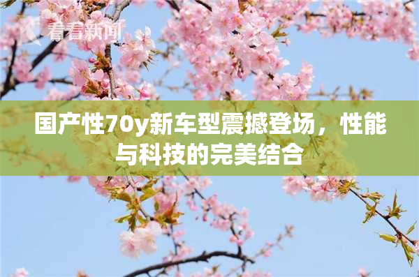 国产性70y新车型震撼登场，性能与科技的完美结合