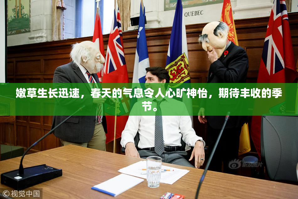 嫩草生长迅速，春天的气息令人心旷神怡，期待丰收的季节。