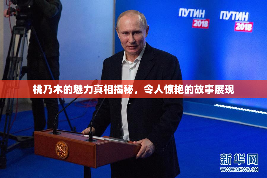 桃乃木的魅力真相揭秘，令人惊艳的故事展现