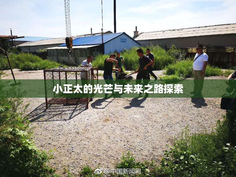 小正太的光芒与未来之路探索