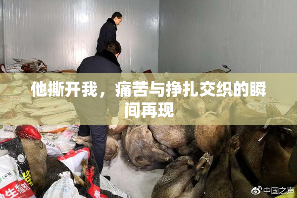 他撕开我，痛苦与挣扎交织的瞬间再现