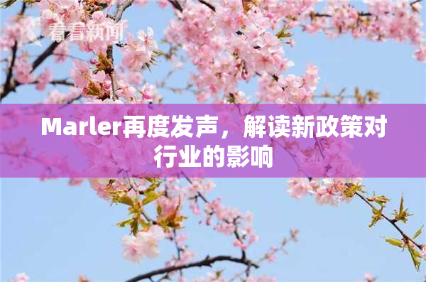 Marler再度发声，解读新政策对行业的影响
