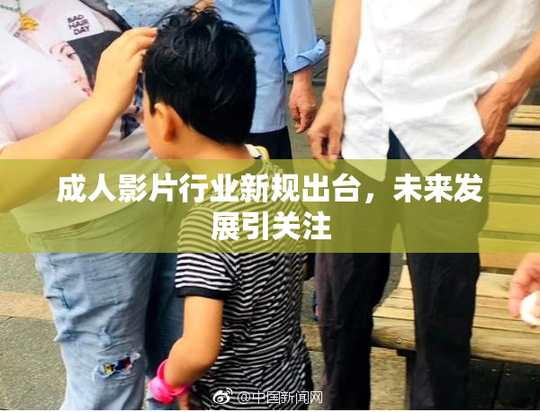 成人影片行业新规出台，未来发展引关注