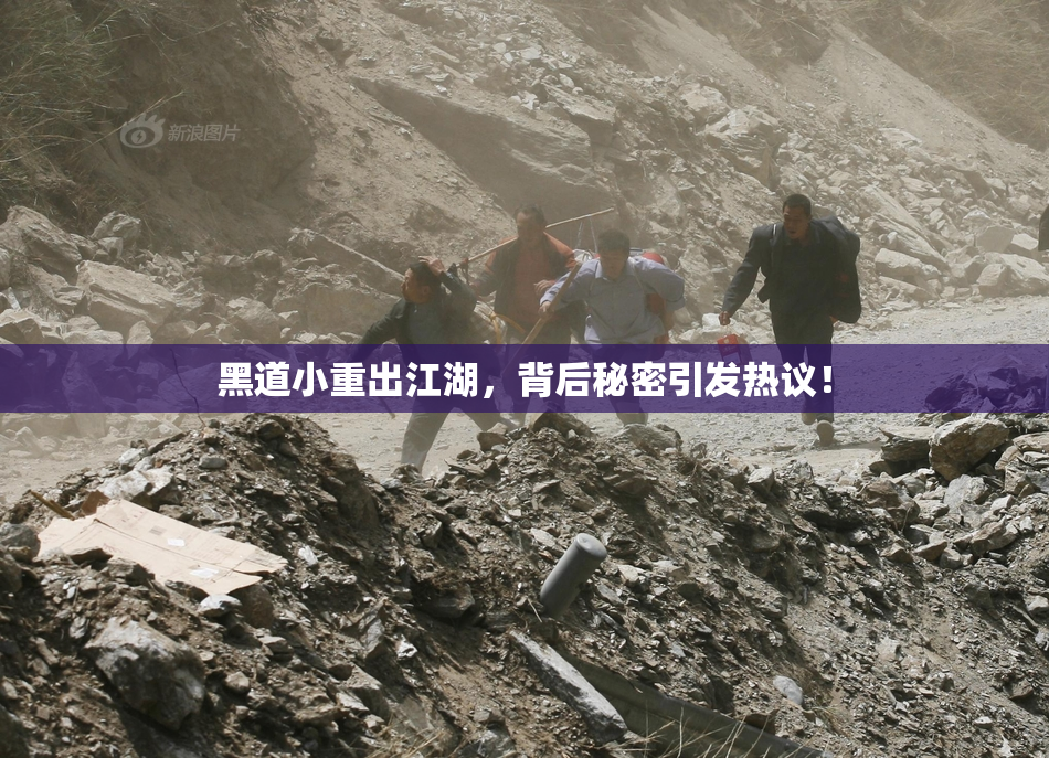 黑道小重出江湖，背后秘密引发热议！